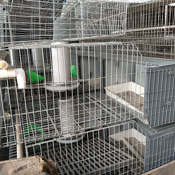 24の細胞電池の作動の農場のウサギのおり2層の容易なクリーニングの耐久財