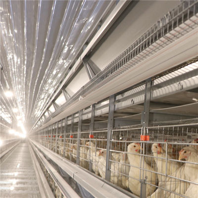 SGSの卵電池の層の鶏は養鶏場の腐食の抵抗をおりに入れる