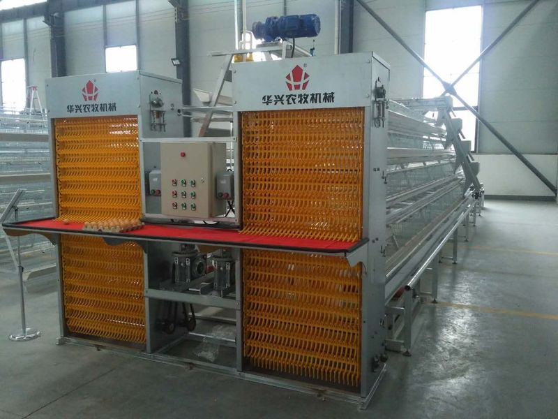 Henan Huaxing Poultry Equipments Co.,Ltd. 工場生産ライン