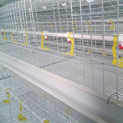 農業の家畜の家禽の鶏のおり4層8のドアの高い耐久性