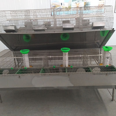 鋼線の網の農場のウサギのおりの熱い浸された電流を通された表面12のミイラ容量