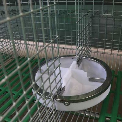 Q235鋼線/プラスチック ウサギのおり、贅沢なウサギ小屋を作動させる電池