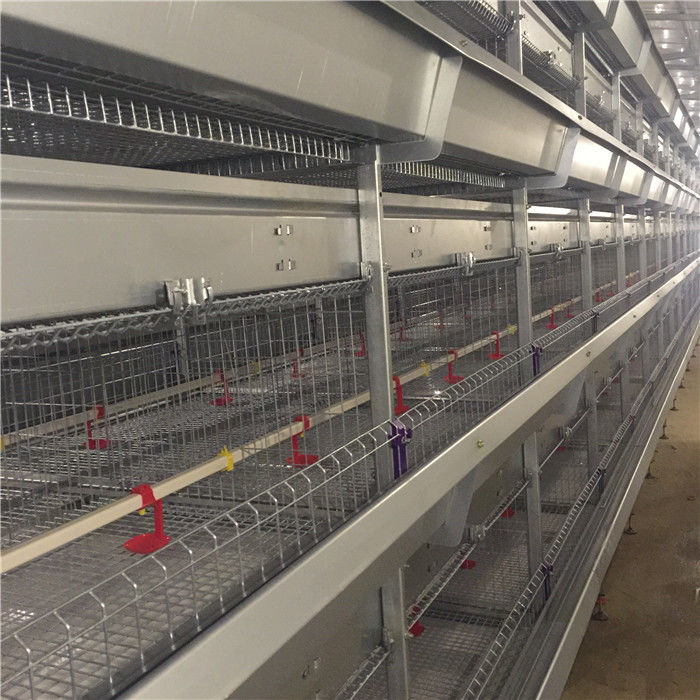 4つの層Hのタイプ赤ん坊のひよこのおり192の鳥の卵を抱く設計