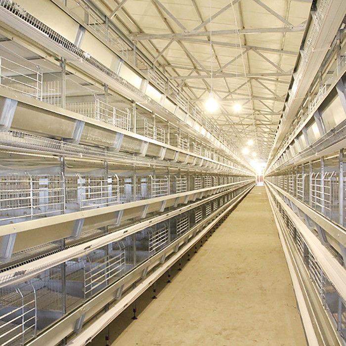 卵の自動鶏のおりを置くこと、大規模の農場の放し飼いの鶏のおり