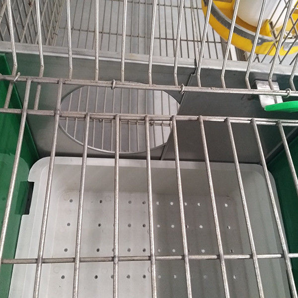 Q235鋼線/プラスチック ウサギのおり、贅沢なウサギ小屋を作動させる電池