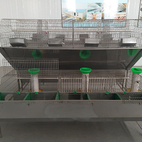 Q235鋼線/プラスチック ウサギのおり、贅沢なウサギ小屋を作動させる電池