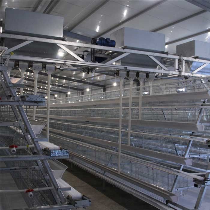 耐久の高速養鶏場の送り装置、自動鶏の食糧ディスペンサー