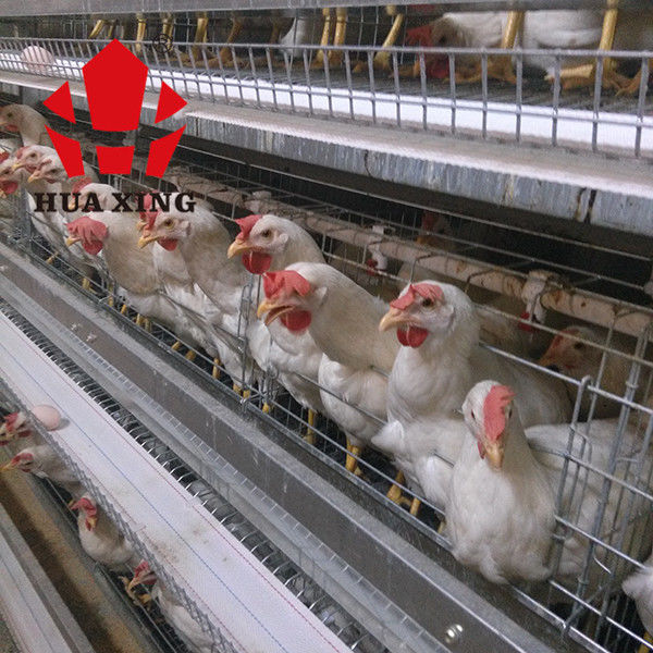 192羽の鳥の昇給の鶏のためのフル オートの赤ん坊のひよこ電池の家禽のおり