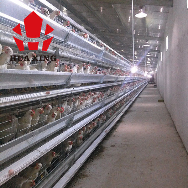 おりの製造業者90 - 160鳥の熱い電流を通された置く雌鶏の農機具は鶏のおりを層にする